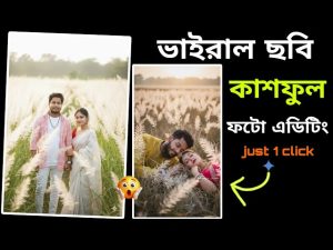 Technical Blog BD - My WordPress Blog